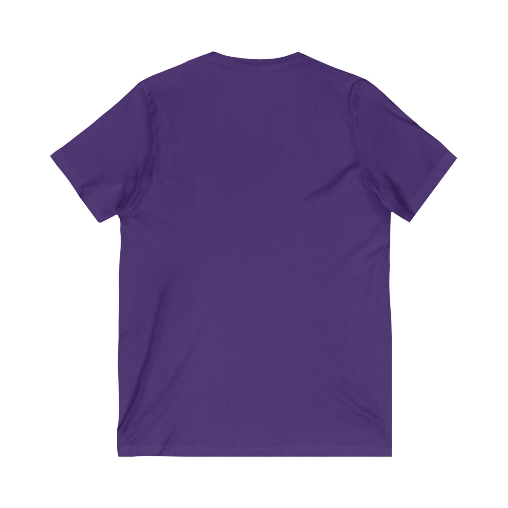 Women's V-Neck Tee (VFW Post 4266)